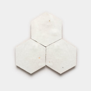 NAQSH White Hexagon Zellige Tile